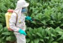 Mass media campaigns can be effective in promoting safer crop pest and disease control, new study reveals