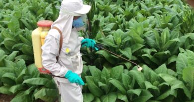 Mass media campaigns can be effective in promoting safer crop pest and disease control, new study reveals
