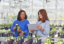 Bayer’s Grants4Ag Program Awards 21 Crop Science Research Grants for 2023