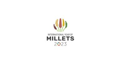 Role of farmers in supporting 2023 as the International Year of Millets