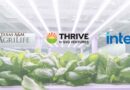 SVG Ventures|THRIVE join forces with Intel and Texas A&M AgriLife to tackle nutrition security using controlled environment agriculture
