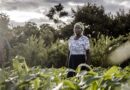 Women’s equality in agrifood systems could boost the global economy by $1 trillion, reduce food insecurity by 45 million: new FAO report