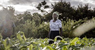 Women’s equality in agrifood systems could boost the global economy by $1 trillion, reduce food insecurity by 45 million: new FAO report