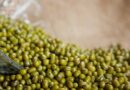 Centre reviews Tur and Urad stock across major growing states