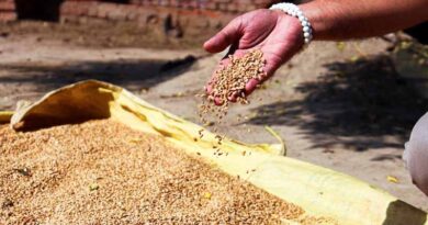 Approval of amendment related to mandi fee reimbursement on wheat export