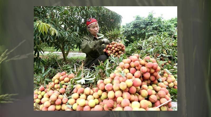 Total export turnover of agro-forestry and fishery products in March 2023 reached 4.66 billion USD