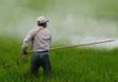 Government bans 3 out of 27 pesticides, farmers relieved