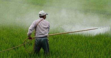 Government bans 3 out of 27 pesticides, farmers relieved