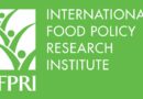 2023 Global Food Policy Report calls for rethinking food crisis responses