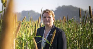 Millets: The Nutritional Powerhouses Making a Comeback in 2023