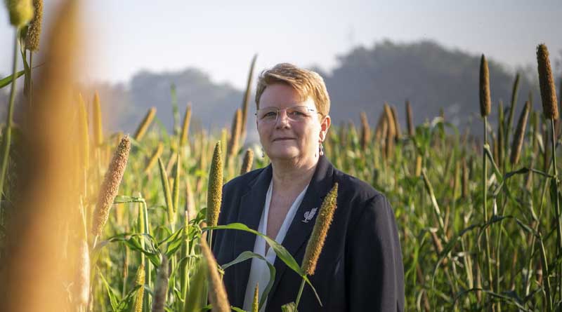 Millets: The Nutritional Powerhouses Making a Comeback in 2023