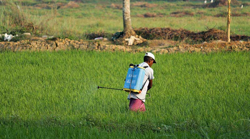 Rajasthan Government categorizes agrochemical companies based on sample report