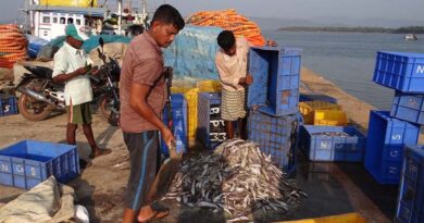India’s fish production touches a record 162.48 lakh tons per annum in 2021-22
