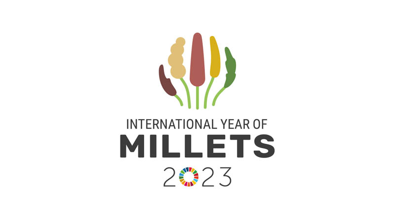 India's agricultural economy will be strengthened by Millets