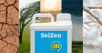 SeiZen, Seipasa’s new biostimulant that revitalises, recovers and regrows your crops against abiotic stress