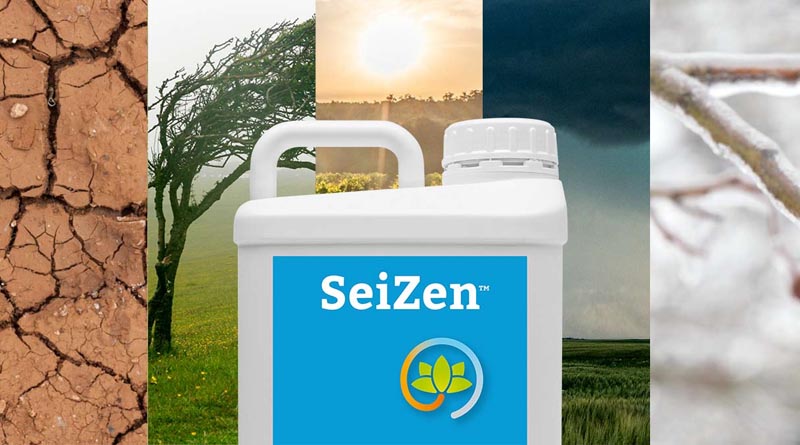 SeiZen, Seipasa’s new biostimulant that revitalises, recovers and regrows your crops against abiotic stress