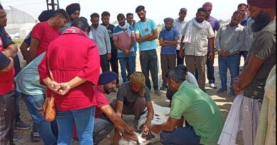 Vocational training on dairy farming conducted by KVK langroya