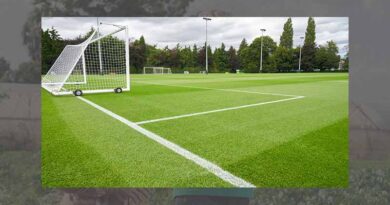 Natural turf - the right choice for our environment