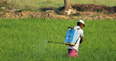 Innovations in crop protection helping in mitigating crop damage