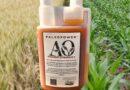 Ancient Organics Launches Glyphosate Bioremediation Product PaleoPower™️