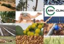 Icarda-cgiar desert farming innovation sprint announced at the aim for climate summit