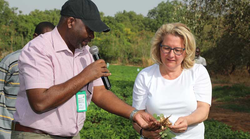 Icrisat’s climate-smart agriculture and smart food initiatives in mali impress german federal minister