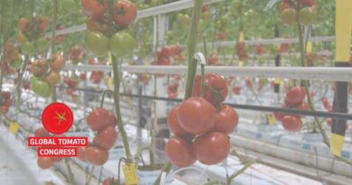 Visit us May 16 at the Global Tomato Congress in Rotterdam!