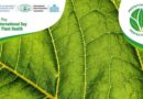 CABI highlights the power of data at International Day of Plant Health event