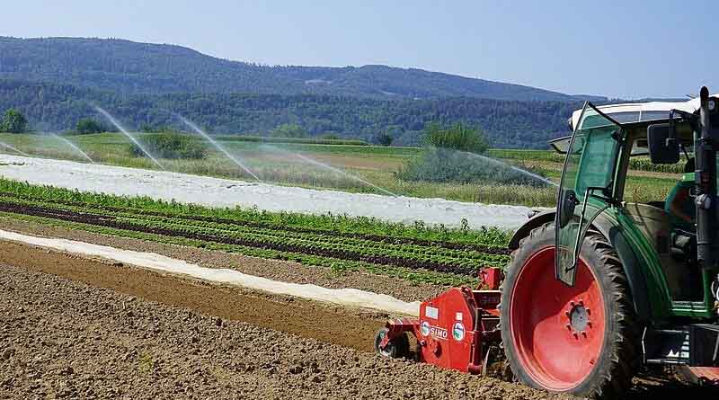 What impact does environmental pesticide contamination have on the organic food chain?