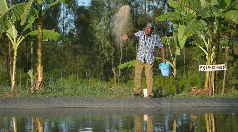 FAO leads global efforts to strengthen aquaculture for food and sustainable development