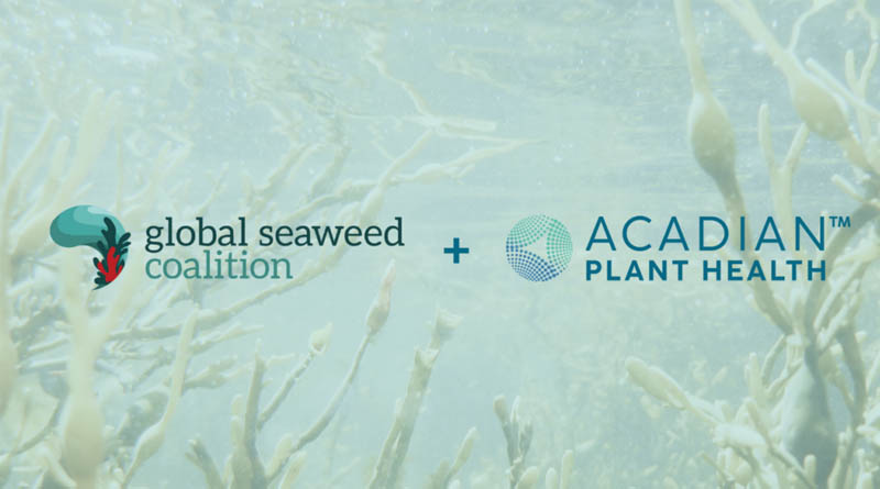 Acadian Plant Health™ Joins Global Seaweed Coalition To Advance The International Seaweed Sector