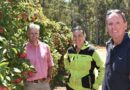 South West WA orchards beat rising weevil damage