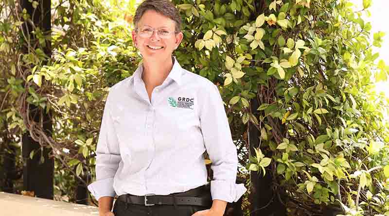 Upcoming grower forums provide ‘front door’ to GRDC