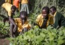 Innovative technology can help curb child labour in agriculture