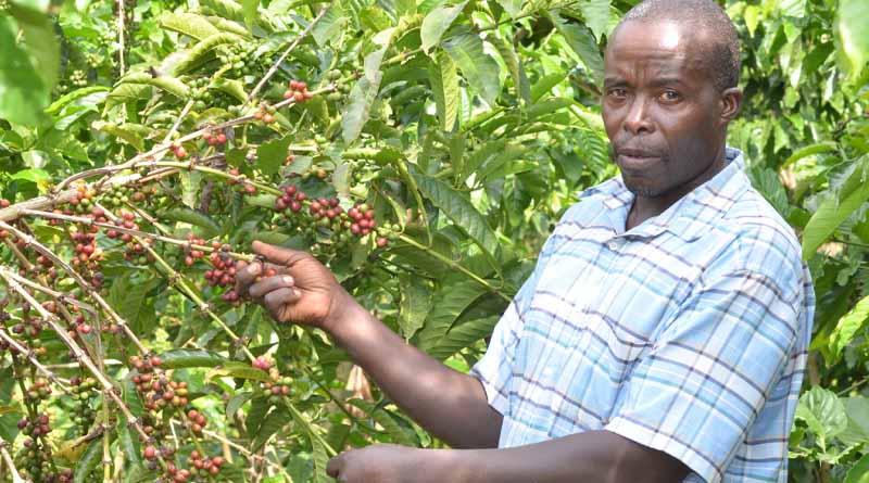 Uganda seeks to bring more smallholder farmers into money economy with new strategy