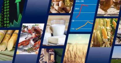 FAO Food Outlook: Global output set for expansion, but declining imports by the most vulnerable countries are a cause for concern