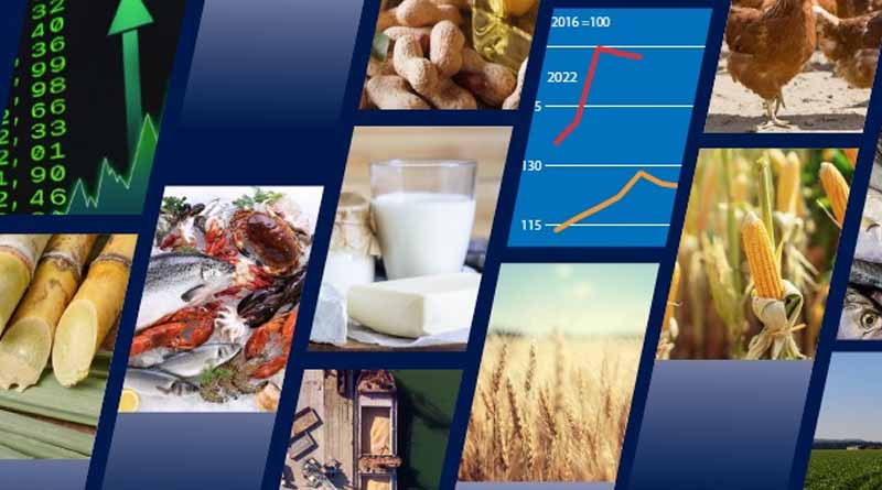 FAO Food Outlook: Global output set for expansion, but declining imports by the most vulnerable countries are a cause for concern