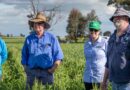 Grains industry leader to front change for women in ag
