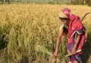 Women Farmers And Technology: Key to Driving Agri Revolution in India