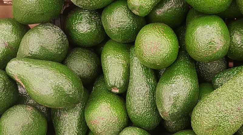 First trial shipment of Australian Avocados arrives in India