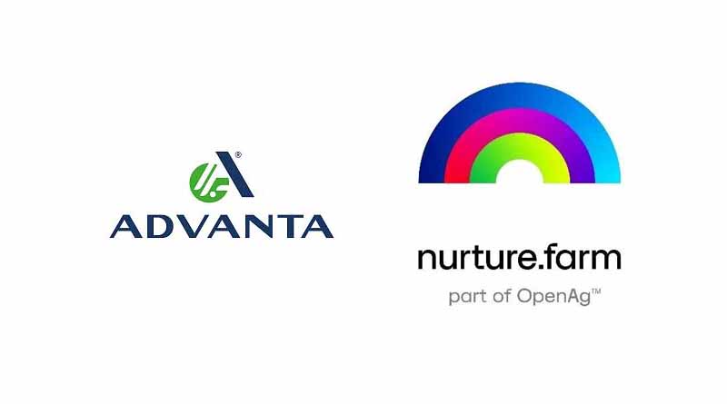 Advanta partners with nurture.farm to launch risk cover for Forage Crops