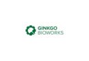 Ginkgo Bioworks 2022 Sustainability Report Highlights Progress Towards a More Sustainable and Inclusive Future