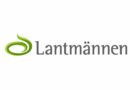 Lantmännen's harvest forecast 2023: 4.6 million tonnes of grain