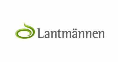 Lantmännen's harvest forecast 2023: 4.6 million tonnes of grain