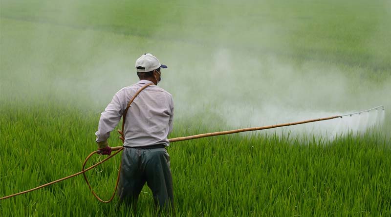 Farmers in India can use glyphosate till further orders from the court