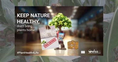 EFSA, European Commission and EU Member States launch #PlantHealth4Life campaign