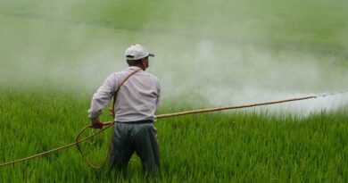 Trade of spurious pesticide continues, factory caught again in Delhi