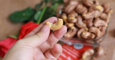 Cashew kernel exports will continue to reach over 3 billion USD in turnover