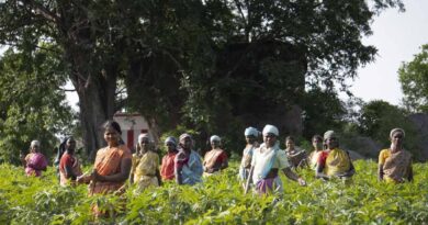 Will it be sustainable and profitable to do Zero Budget Natural Farming in India?
