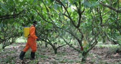 CABI scientist co-authors latest edition of Pesticide Use in Cocoa manual